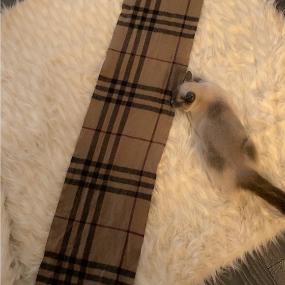 THE BURBERRY CHECK CASHMERE SCARF: Well loved. Authenticated with proof. - Picture 2 of 7